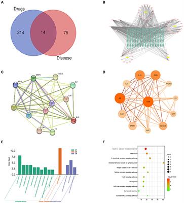 Mechanism of Qingchang compound against coccidiosis based on network pharmacology-molecular docking